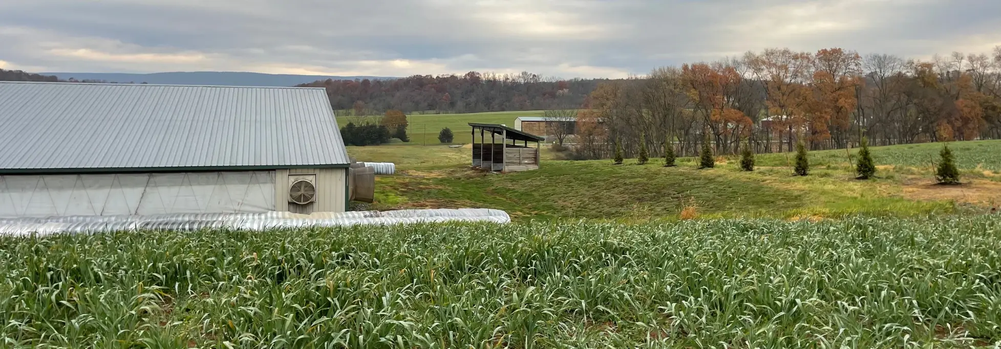 Farm Planning – Dealing with High Nitrogen Prices Rosetree Consulting