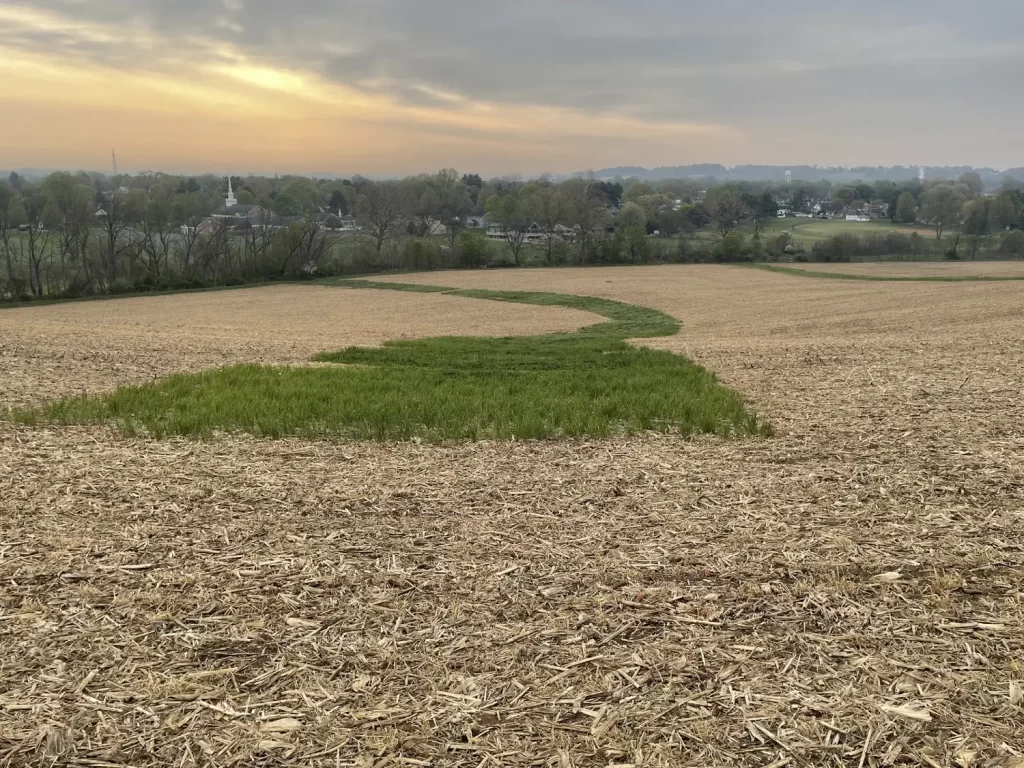 rosetree conslting Soil Conservation Plans Ag ES Plans