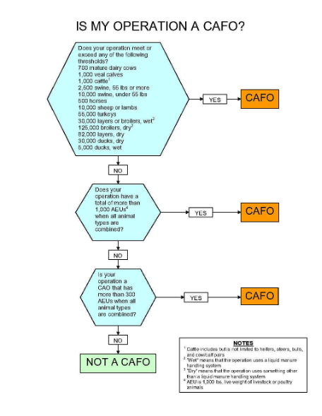 The CAFO program