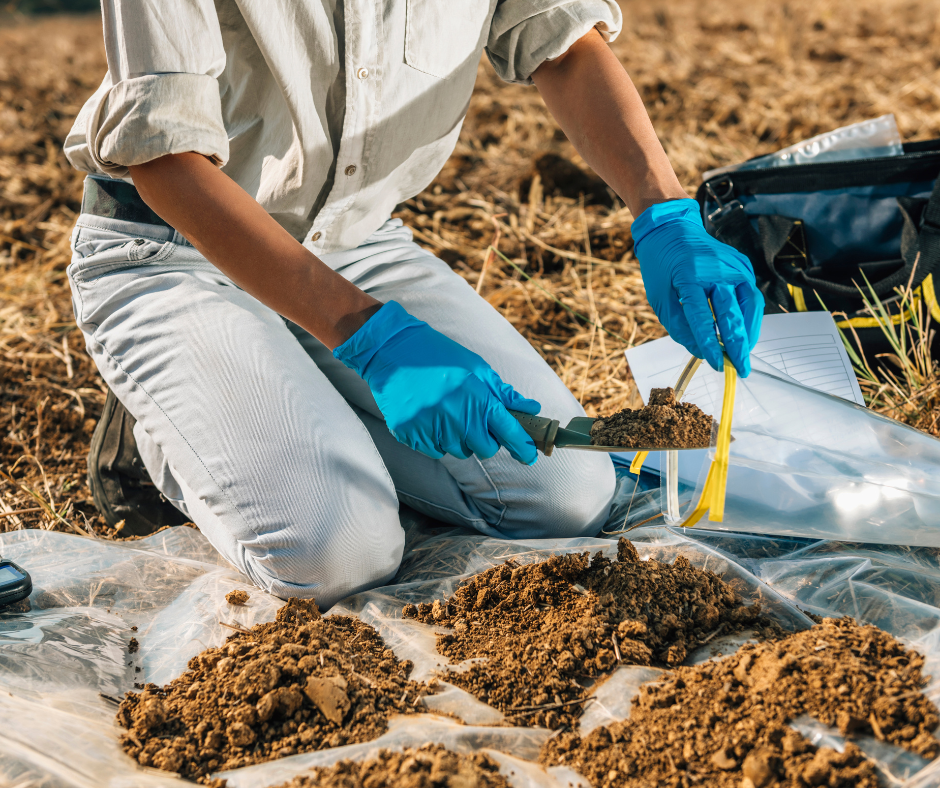 Understanding Your Soil Test