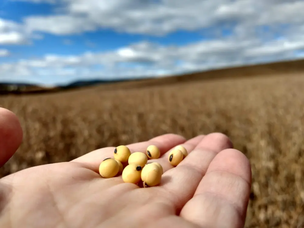 Ready to Set Your Own Yield Record