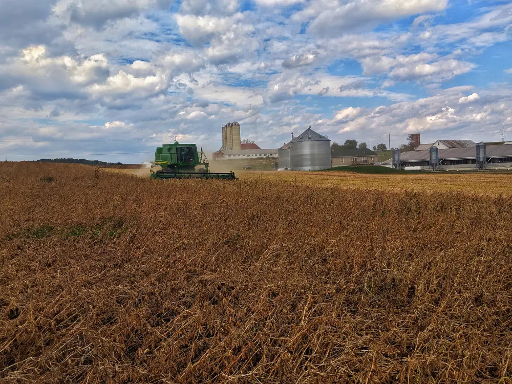 Ready to Set Your Own Yield Record