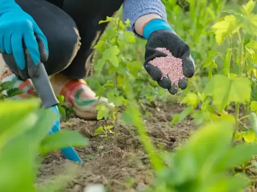 Variable Rate Prescriptions Rosetree Consulting