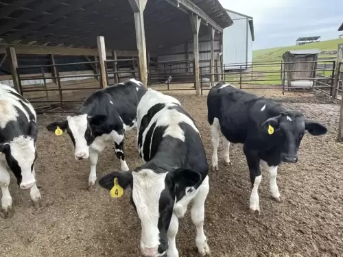 NRCS Comprehensive Nutrient Management Planning 