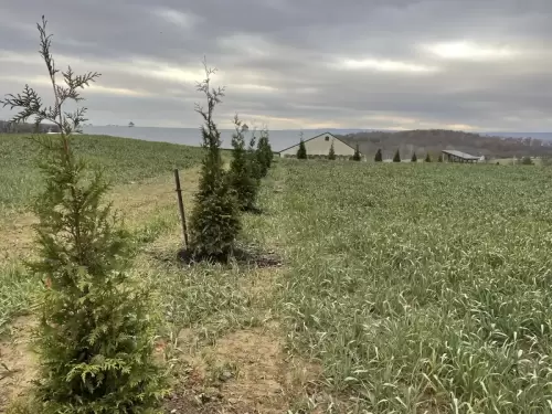 Odor Management Planning