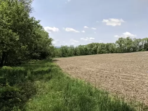 Soil Conservation Plans Ag ES Plans Rosetree Consulting