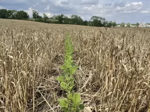 Soil Conservation Plans Ag ES Plans Rosetree Consulting