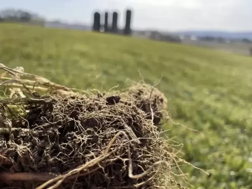 Soil Conservation Plans Ag ES Plans Rosetree Consulting