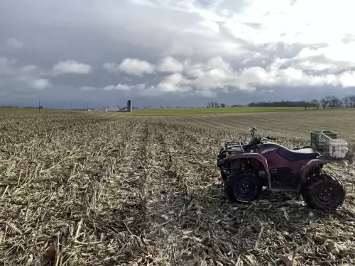 Rosetree Consulting Precision Soil Testing